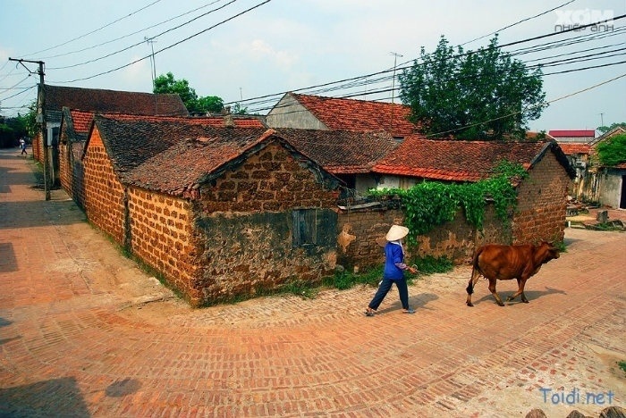 ancien village Duong Lam paysanne